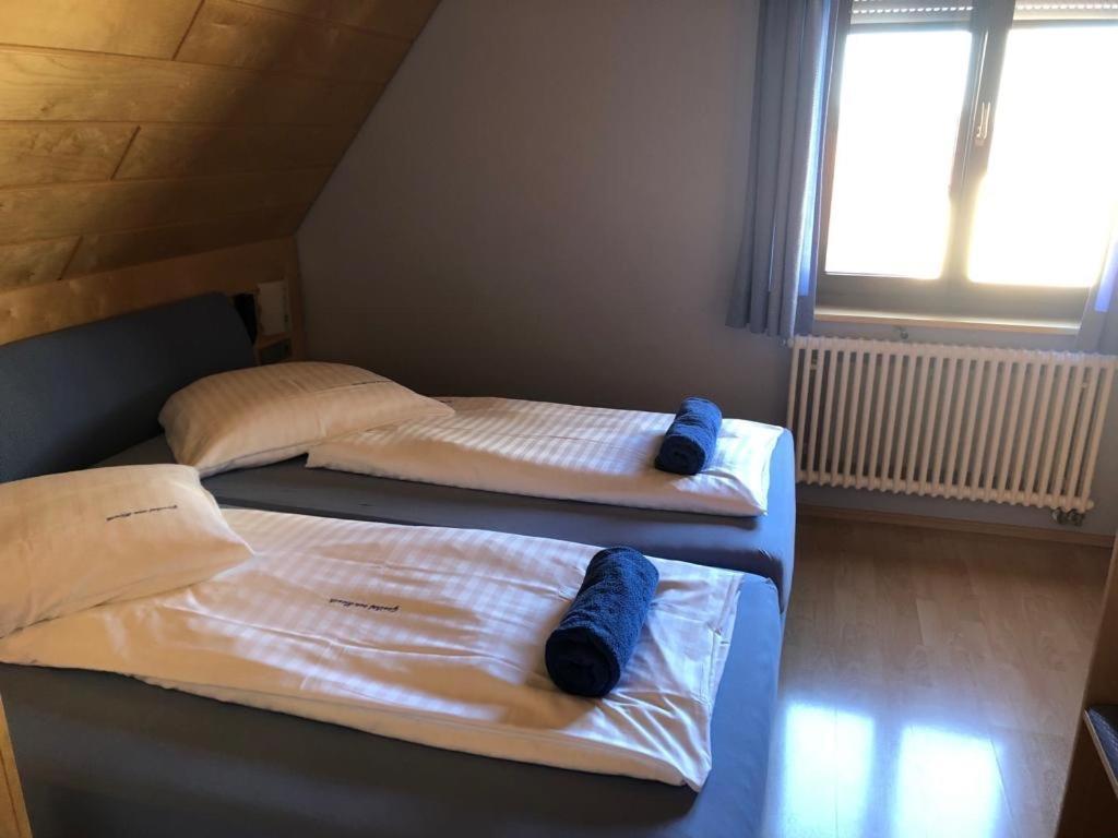 Gasthof Zum Hirsch Sachsenheim Eksteriør bilde